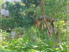 -晓雯人家