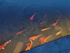 -雅达·阳羡溪山小镇中心