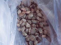 花蛤-必点海鲜·鲅鱼水饺(鞍山西道店)