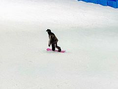 -哈尔滨热雪奇迹