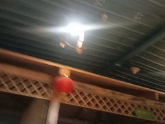 -老阿妈蒙古村·蒙古包·草原文化·歌舞表演(老君堂店)