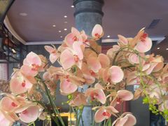 -八府香鸭·啫啫煲(华山路店)