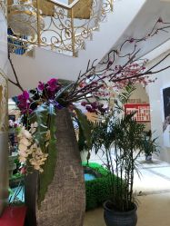 -伽美医疗美容医院·高端抗衰中心