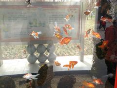 -石家庄市动物园