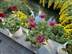 -杭州植物园