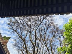 -白帝城·瞿塘峡景区