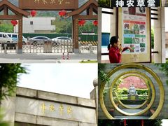 -广州神农草堂中医药博物馆