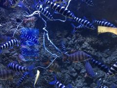 -成都浩海立方海洋公园