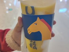 -春丽小马(济南恒隆广场店)