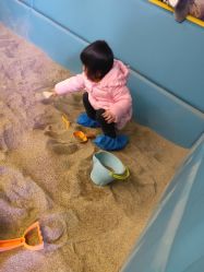 -恐龙探索乐园(磁器口店)