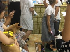 -北京佳信宠物医院