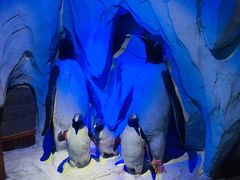 -太平洋海底世界