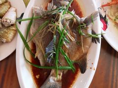 东星斑-八方海味餐厅