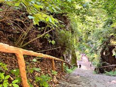 -天女山森林公园