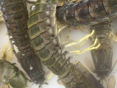 -拉威海鲜市场