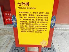 -西安市广仁寺