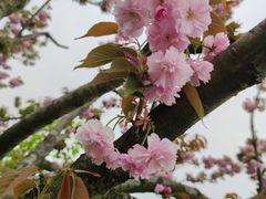 -上海山野camping·户外天幕烧烤·团建拓展营地