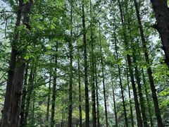 -国家植物园南园