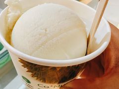 榴莲冰激凌球-Co+Nut+Ink(圣淘沙店)