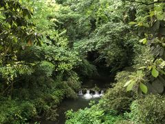 -灵隐飞来峰景区