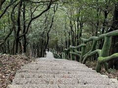 -梧桐山风景名胜区