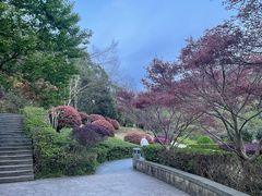 -桃花岭景区