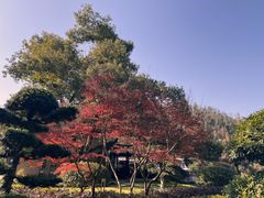 -桃花岭景区