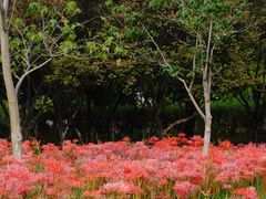 -白塘生态植物园