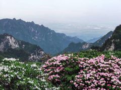 -终南山国家森林公园