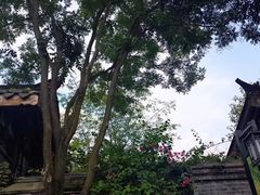 -星巴克臻选(成都宽窄巷子店)