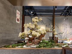 -萃華楼(王府井店)