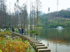 -重庆彩云湖湿地公园