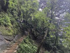 -青城山