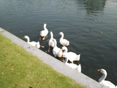 -杭州师范大学(下沙校区)