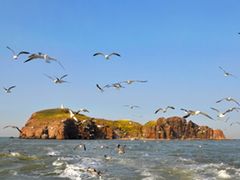 -海驴岛(荣成市)