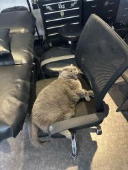 点击看大图 -飛凡TATTOO纹身•原创