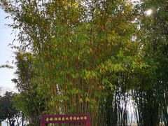 -金银湖国家城市湿地公园