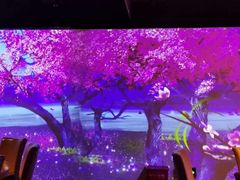 -鼎尚鲜斑鱼莊(新天润店)