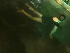 -西安国际创新人才交流中心•药浴温泉