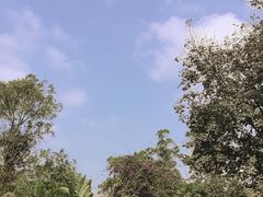 -海南热带野生动植物园