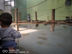 -太原动物园