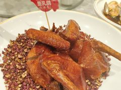 大红袍乳鸽王-朱记乳鸽王·非遗石岐乳鸽·全鸽宴(大兴旗舰店)