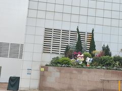-九龙公园