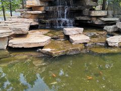 -羊亭河湿地公园