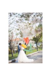 点击看大图 月光码头-韩国艺匠ARTIZ STUDIO(博览中心店)