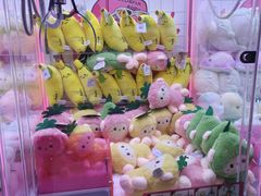 -探险阳光乐园(东区利和店)