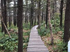 -白草畔自然风景区