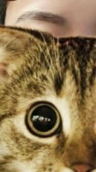 -HQ半永久纹绣纹眉