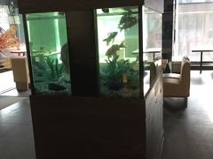 -大家乐(东莞虎门店)