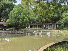 -中共上海市委党校 上海行政学院